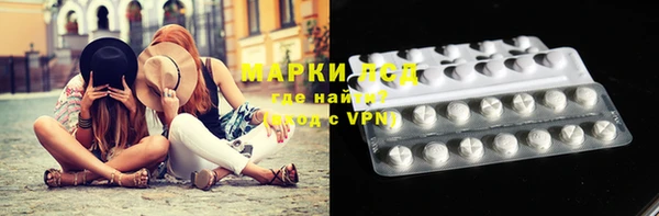 гидропоника Алзамай