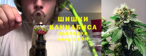 гидропоника Алзамай