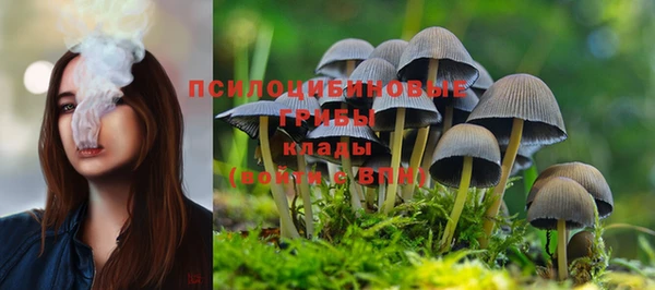 наркотики Алексеевка