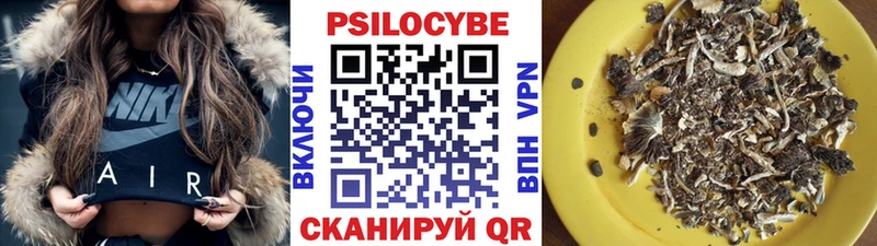 darknet телеграм  Цивильск  Псилоцибиновые грибы Magic Shrooms  МЕГА маркетплейс 